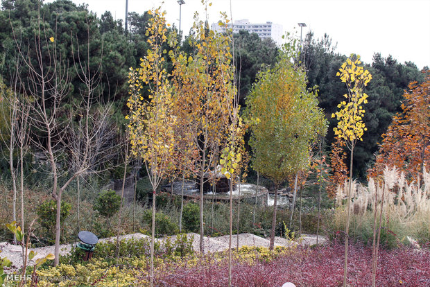 Tehran Bird Garden 