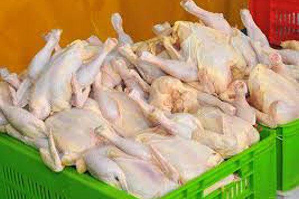 مرغ منجمد در استان سمنان با قیمت ۵۸۰۰ تومان عرضه خواهد شد