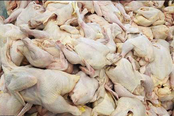 ۳۶۰ تُن مرغ منجمد در بازار لرستان توزیع می‌شود