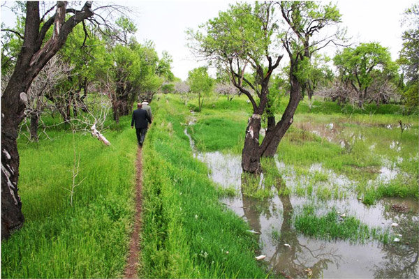 باغداران قزوین آماده استفاده از تکنولوژی روز هستند