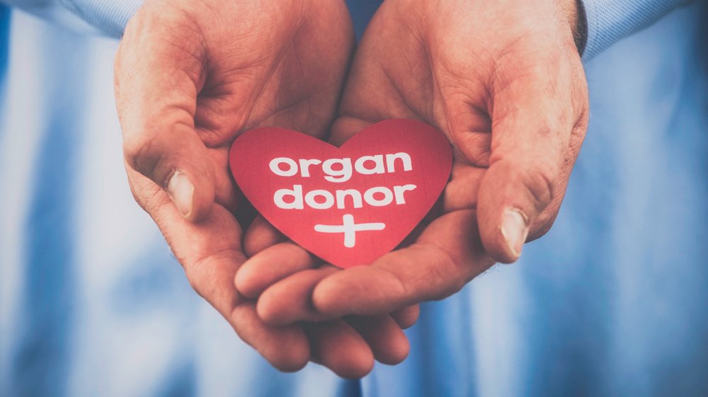 organ donation