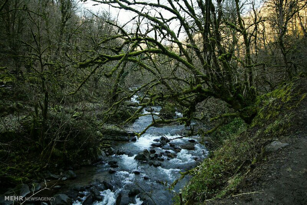 Meskin waterfall in Astara