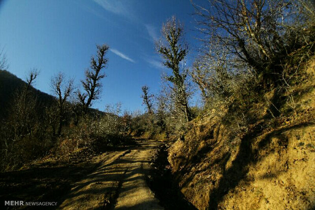 Meskin waterfall in Astara