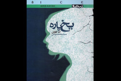 «یخ پاره» به بازار نشر آمد/معرفی یک نویسنده به ایرانیان
