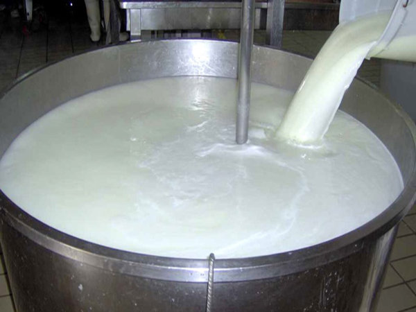 رصد وضعیت تولید و دریافت شیرخام طی ۲روز آینده در کارگروهی ویژه
