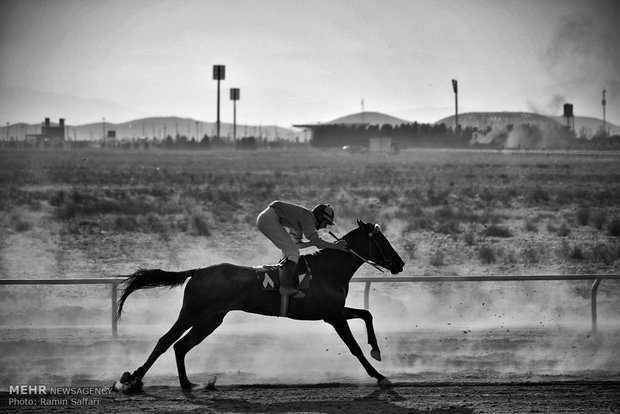 Horse Racing Competition in Mashhad