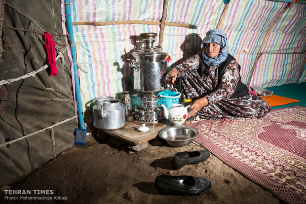 Shahsavan nomads, inhabitants of green pastures in northwestern Iran