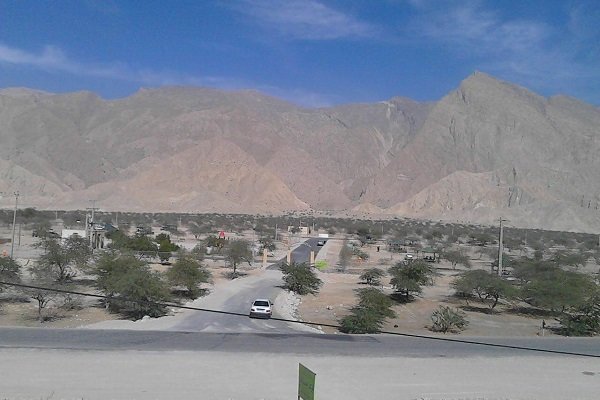 رونق گردشگری در پارک جنگلی چاه چاهو دشتی