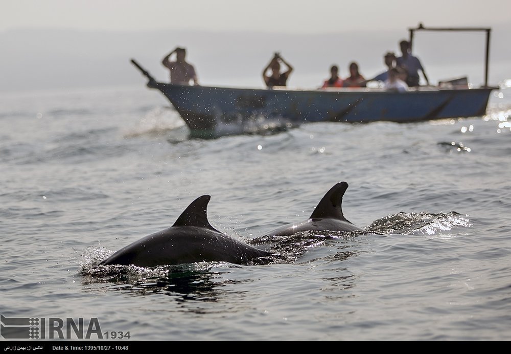 Qeshm a major tourist destination