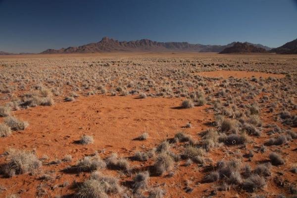 رنگ آب سفرههای زیرزمینی برخی نقاط فارس تغییر کرد