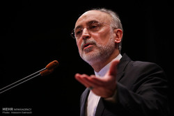 Trilateral aggression in Syria, US political bankruptcy: Salehi 