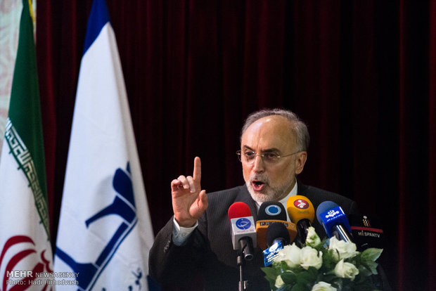 صالحی: آرام آرام وارد دوران فرهیختگی می‌شویم