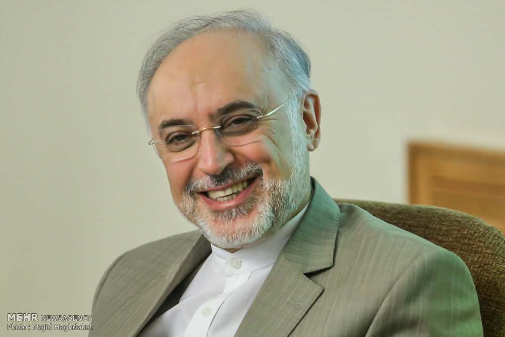 علی اکبر صالحی رئیس سازمان انرژی اتمی