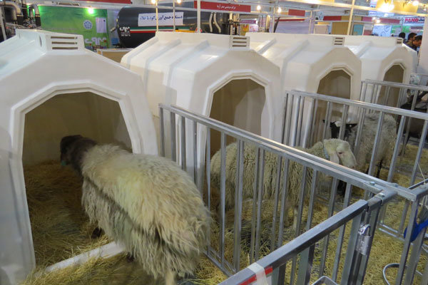 امنیت غذایی در حوزه بهداشت دام در ۳ حوزه کاربردی تامین میشود