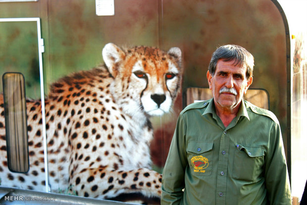 Iranian cheetah caravan enters Shiraz