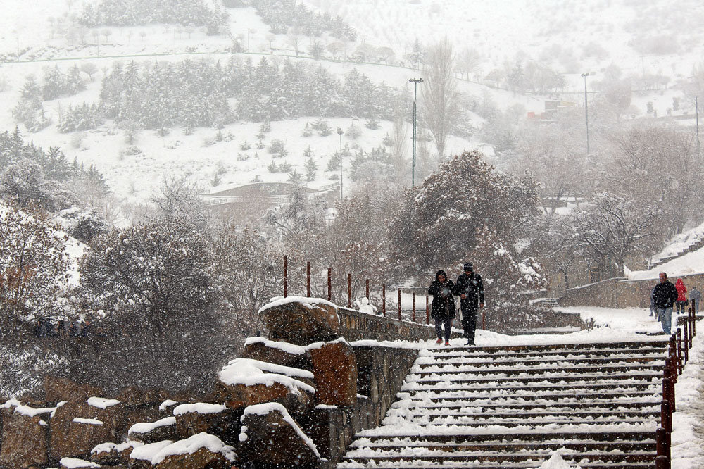 blizzard