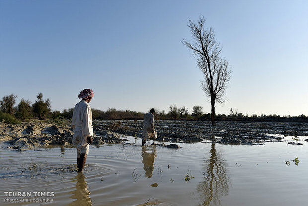 Sistan-Baluchestan hit by flood 