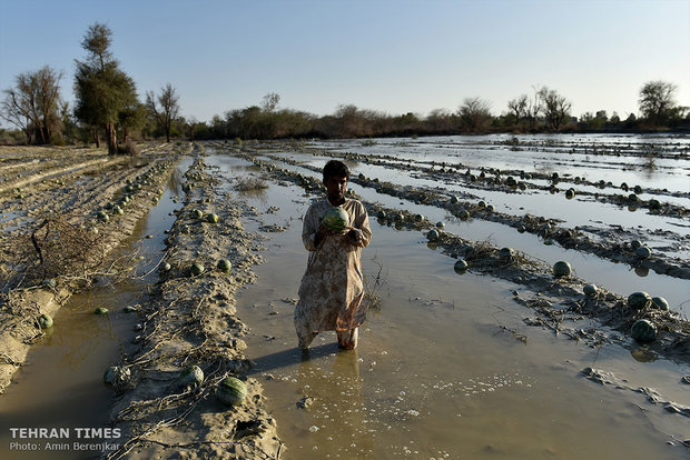 Sistan-Baluchestan hit by flood 