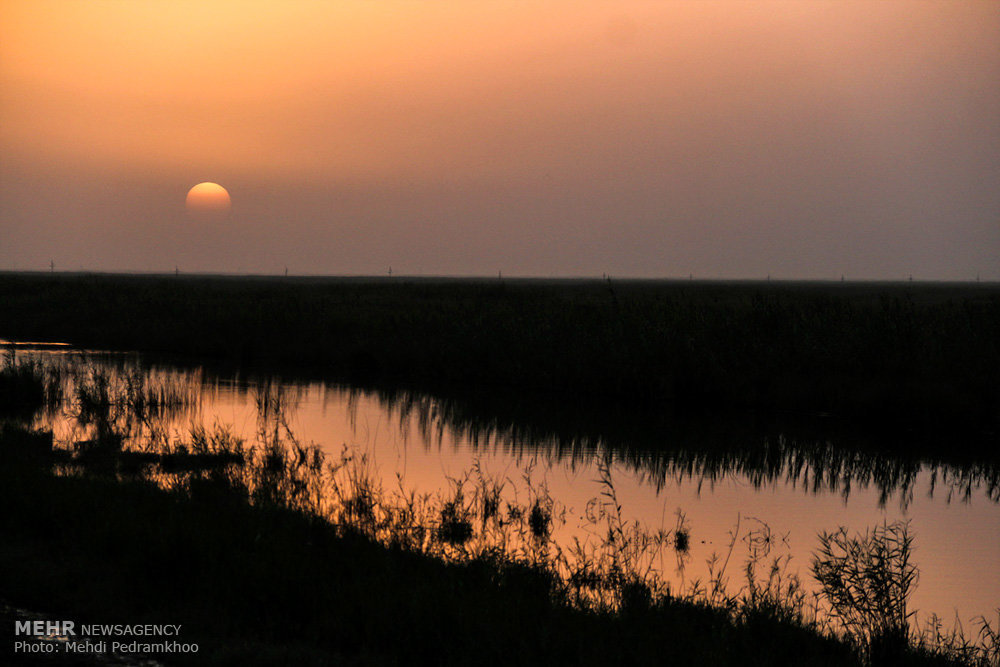 Shadegan International Wetland