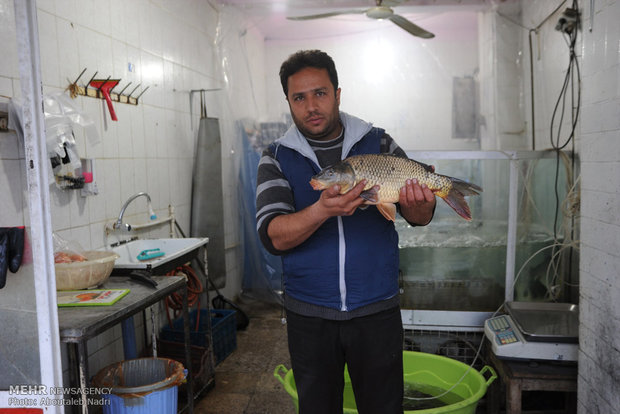 عدنان داتوپر با دریافت وام از کمیته امداد امام خمینی (ره) مریوان اقدام به پرورش و فروش ماهی کرده است.