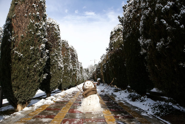 تساقط الثلوج في طهران 