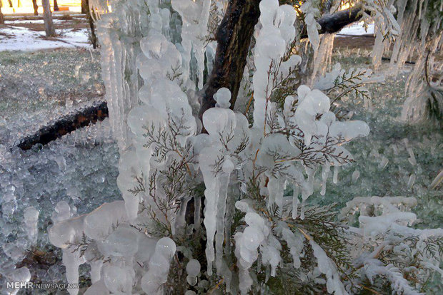 Icicles in Khorramabad