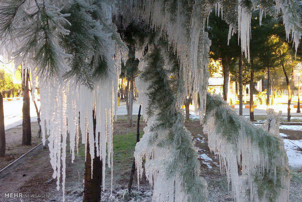 Icicles in Khorramabad