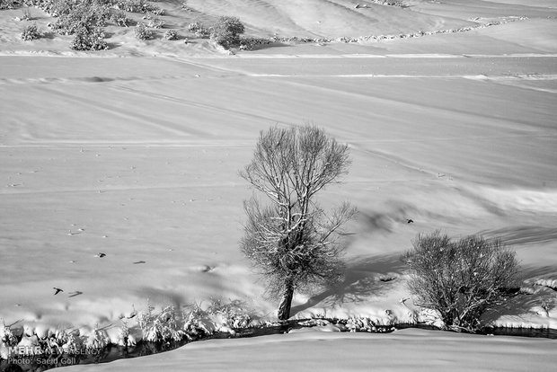 Snow whitens Kurdistan province