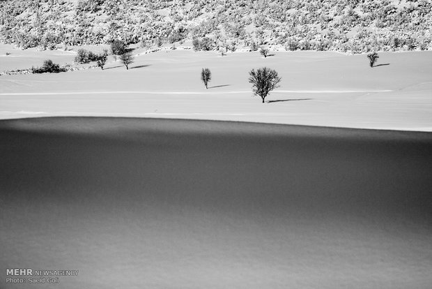 Snow whitens Kurdistan province