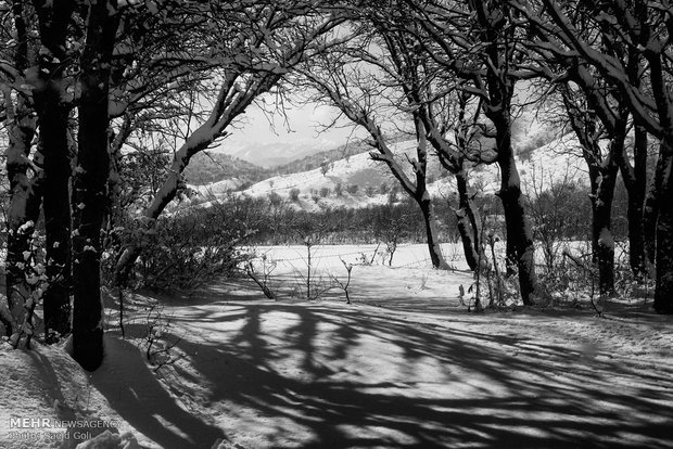 Snow whitens Kurdistan province