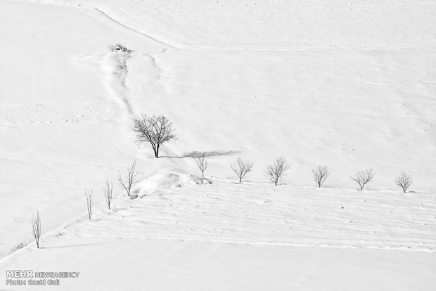 Snow whitens Kurdistan province