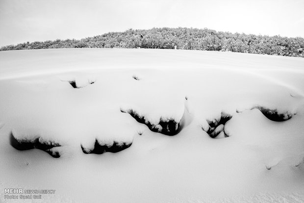 Snow whitens Kurdistan province