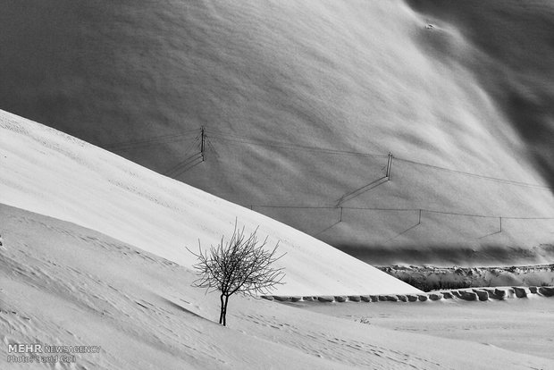 Snow whitens Kurdistan province