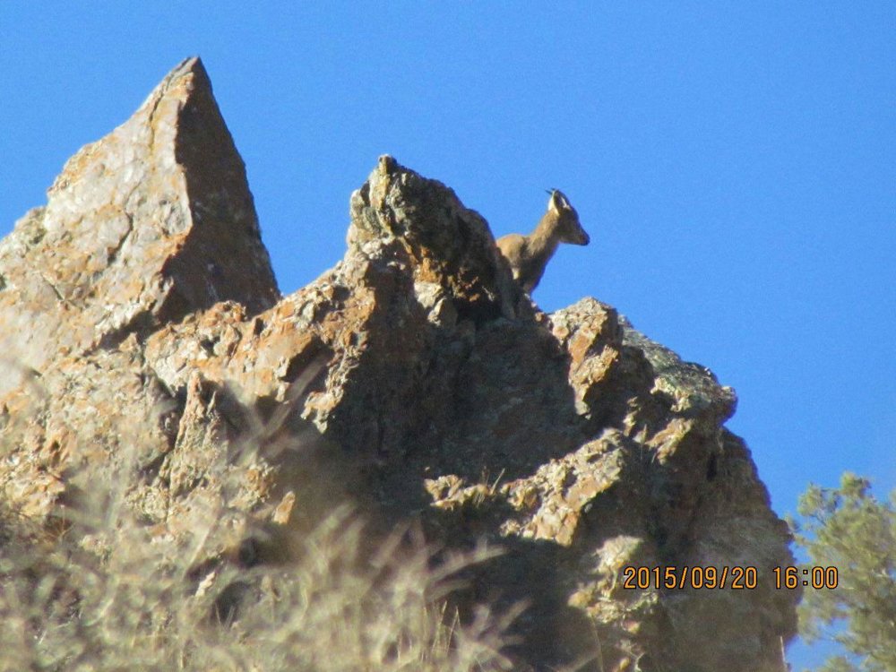 تفرجگاه های زنجان فرصت بی بدیل برای گردشگری