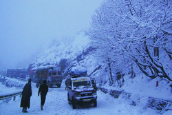 هوای سرد جان ۴ نفر را در غرب افغانستان گرفت
