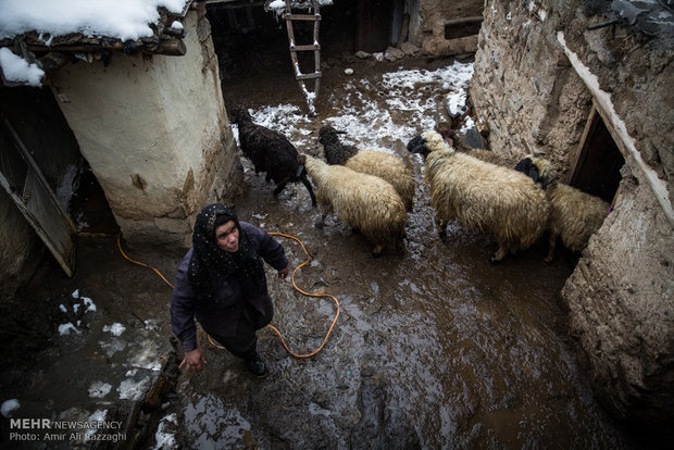 زمستان زیر سایه سنت و همدلی