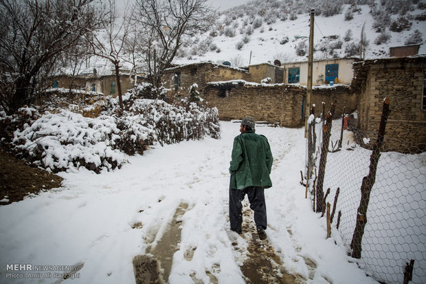 زمستان زیر سایه سنت و همدلی