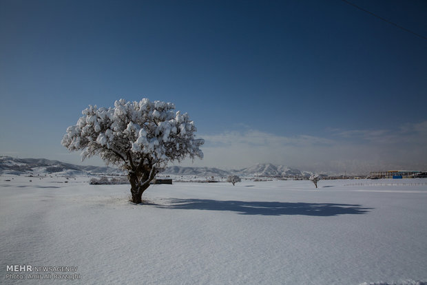 زمستان زیر سایه سنت و همدلی