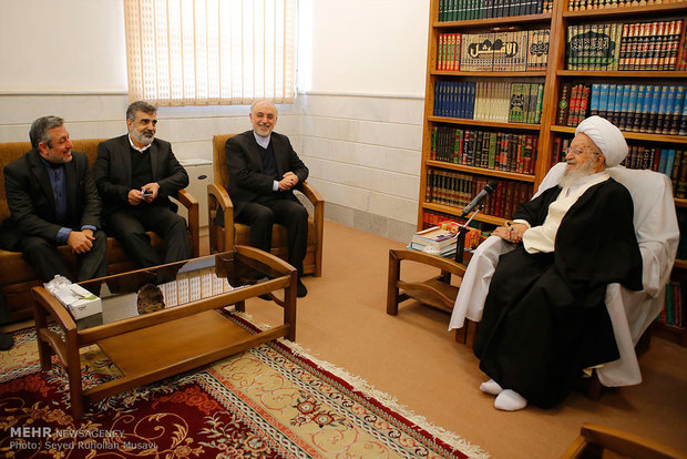 AEOI head meets with clerics in Qom