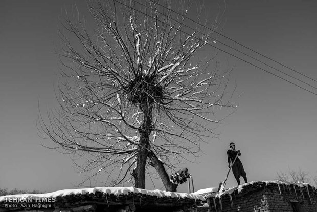 Looking at the trees you can see storks’ nests beautifully placed among the dormant branches of the trees.