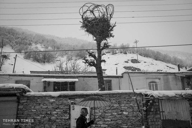 There are tens of stork nests all through the town which are vacant and waiting for the storks to come back next year. 