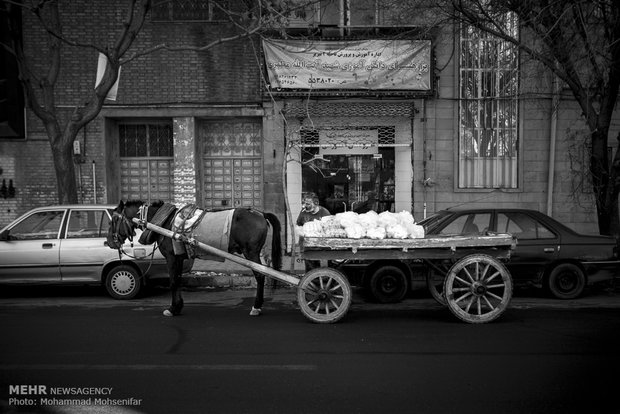 A view of daily life in Iran – 65