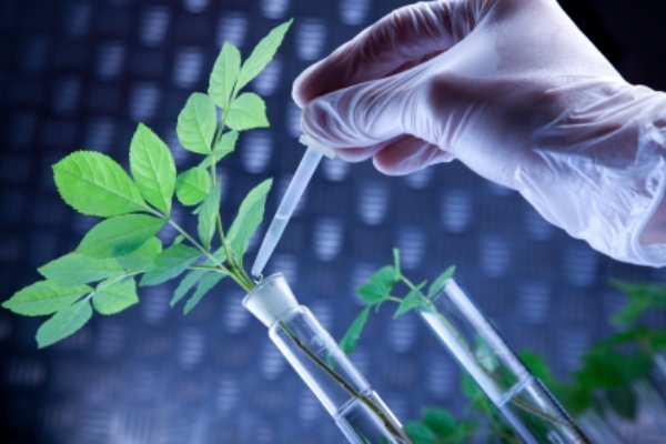 جذب هیات علمی در پژوهشکده بیوتکنولوژی کشاورزی 