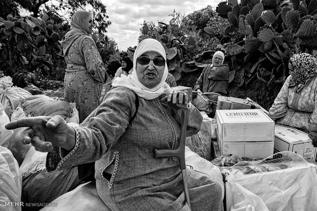 زنان باربر مراکشی‎