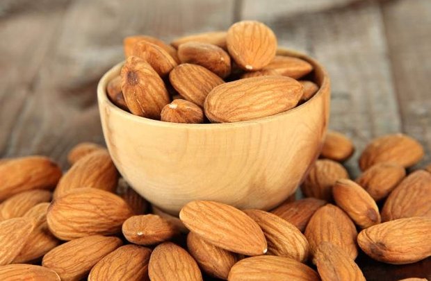 برداشت بادام در چهارمحال و بختیاری آغاز شد