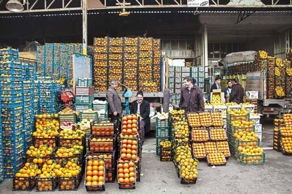 ۶۵۰ تن میوه شب عید در استان سمنان ذخیره شد 