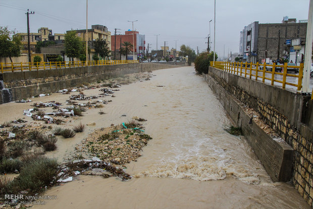 بارش شدید باران در استان بوشهر