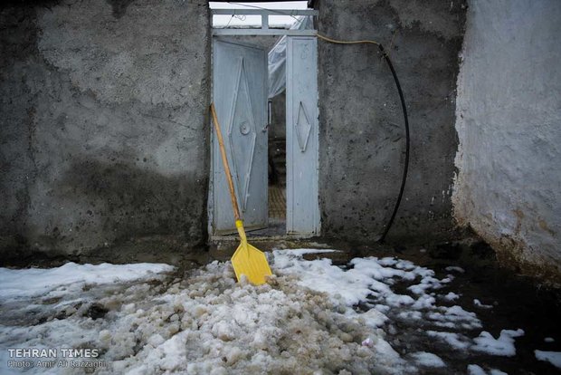 Cold winter days of Belker village