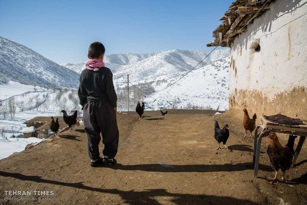Cold winter days of Belker village