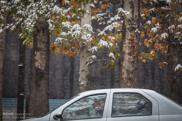 Snow in Tehran